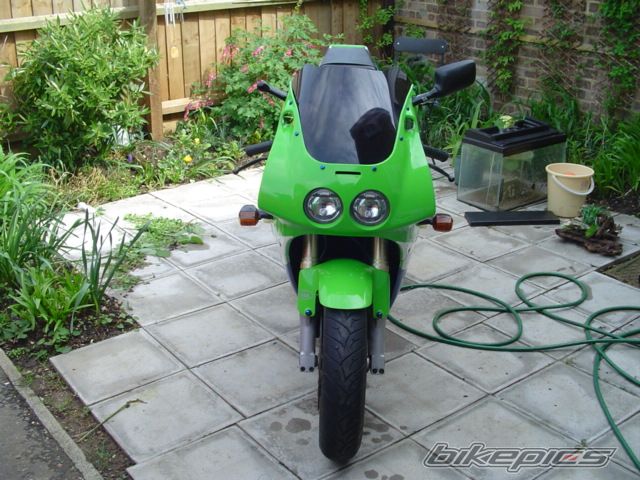 Photo 600127