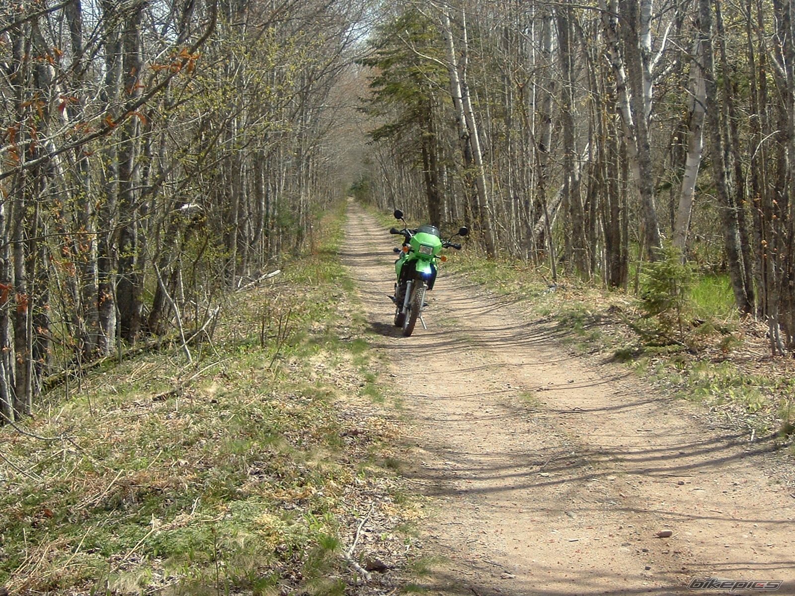 Bike Photo 600204
