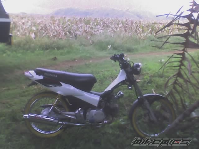 Photo 600634