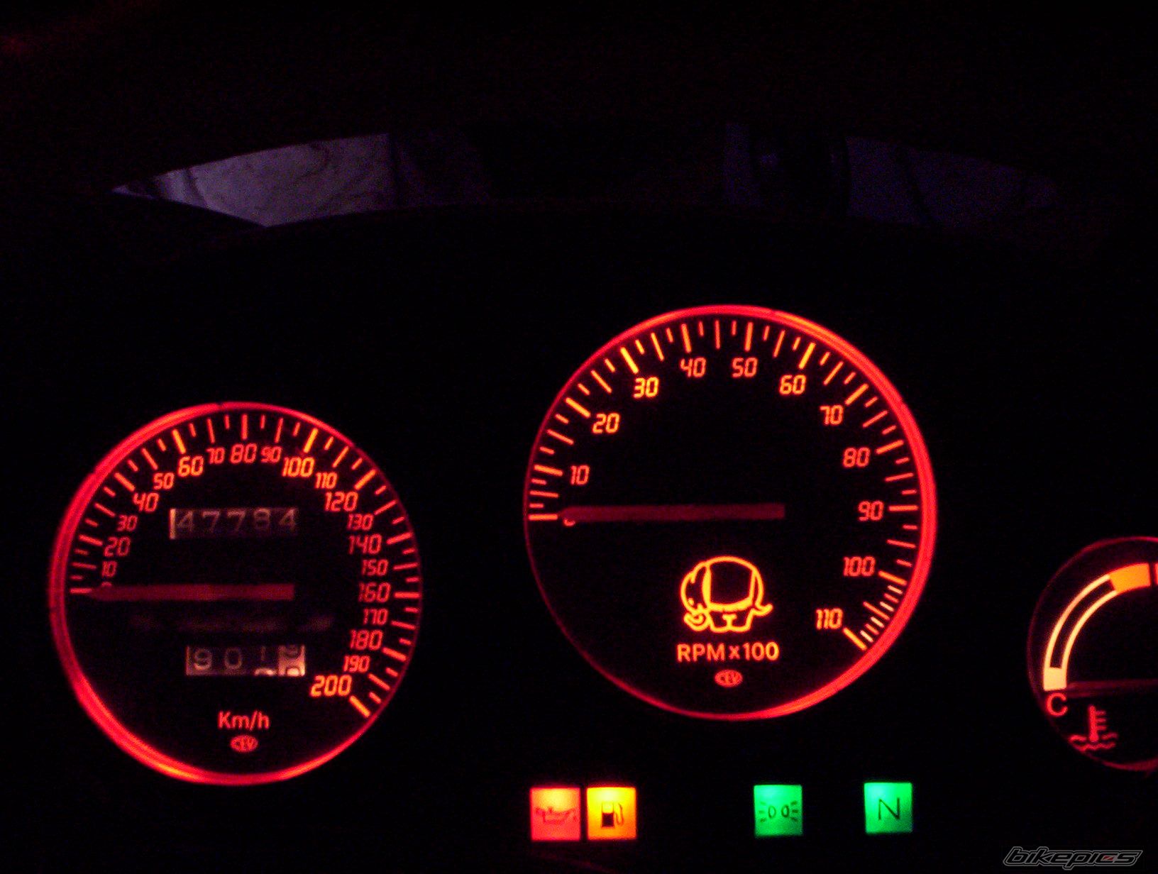 Photo 600695
