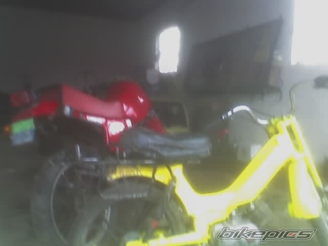 Photo 600868