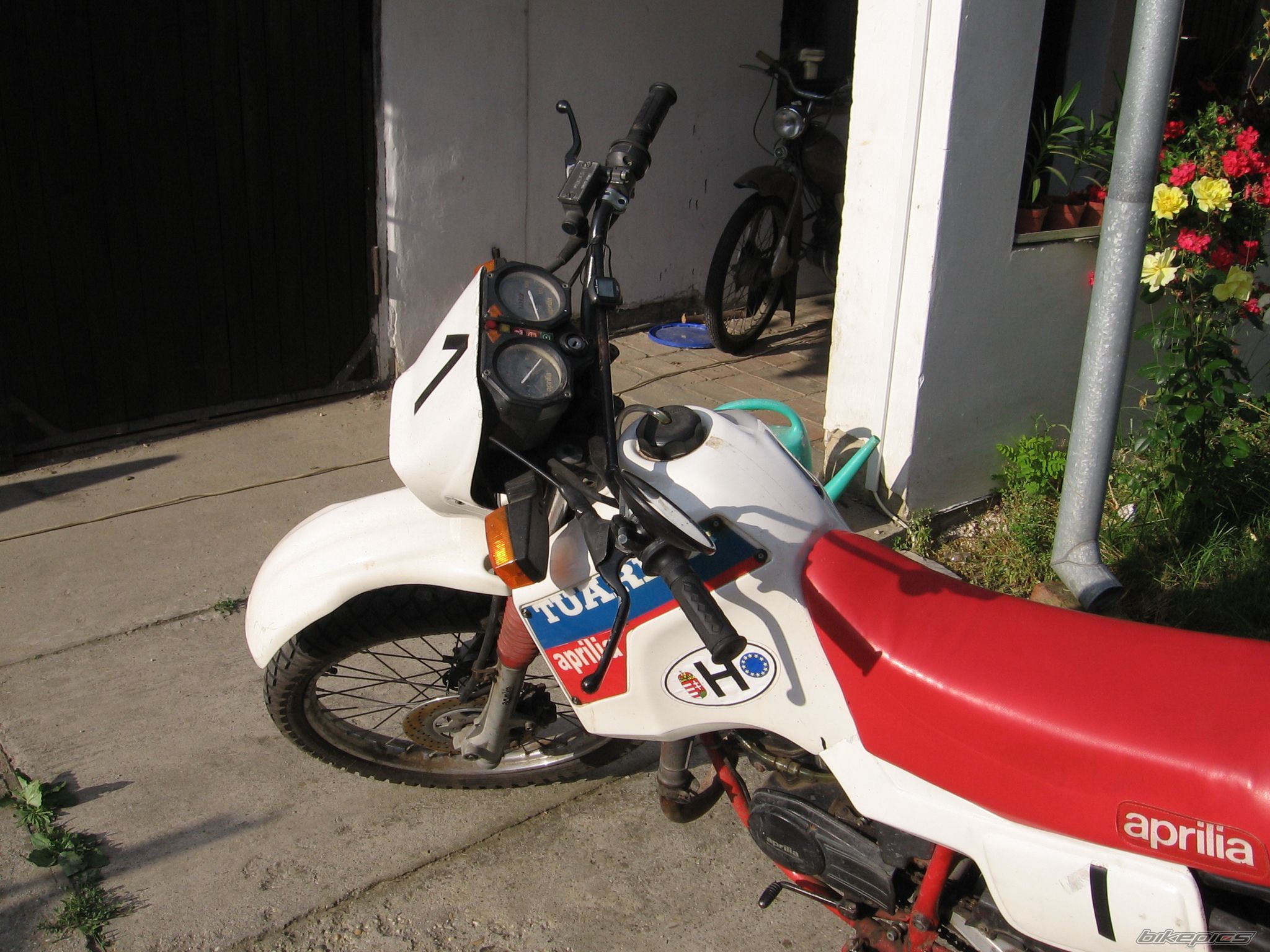 Photo 600928