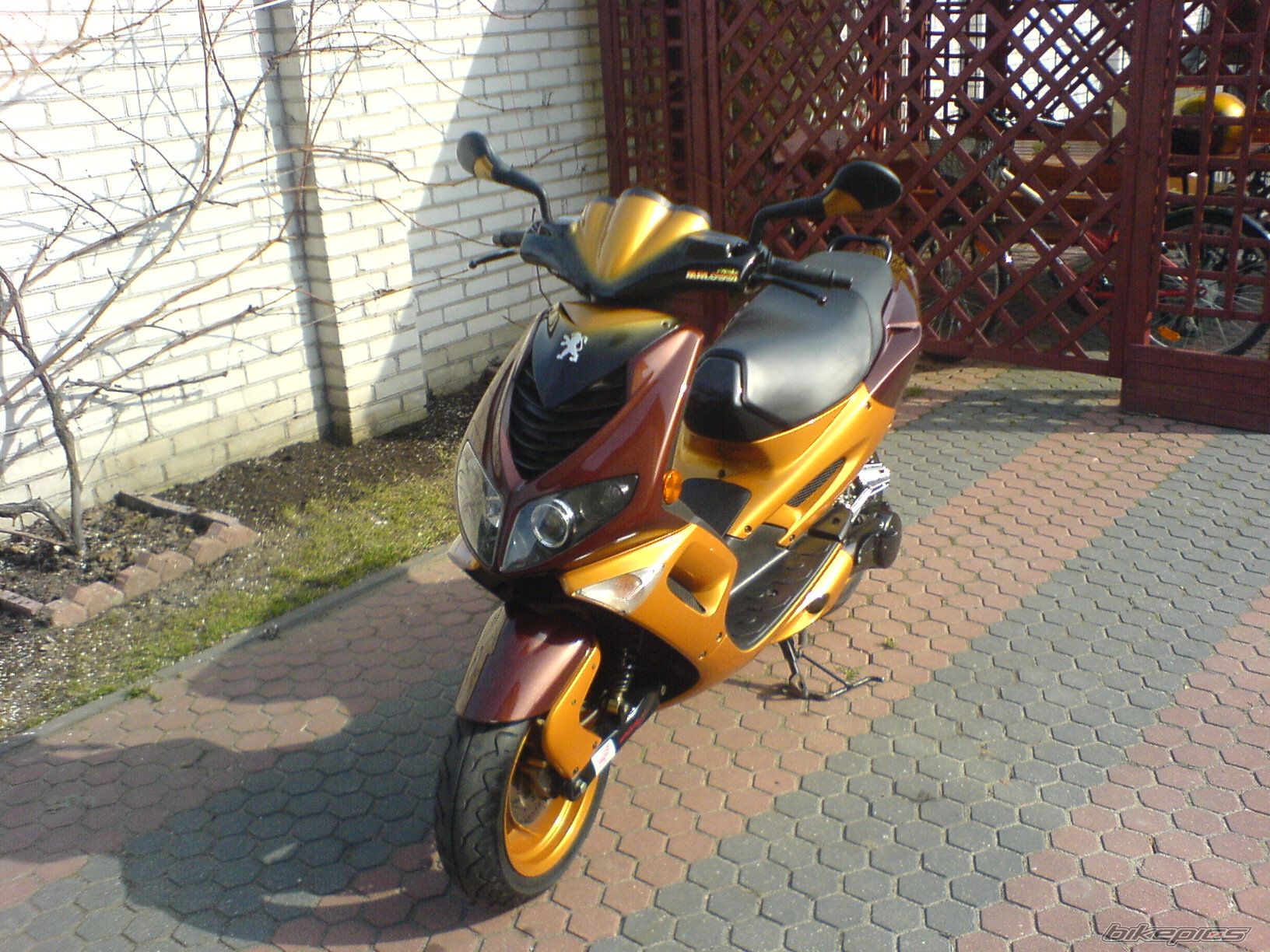 Bike Photo 601532