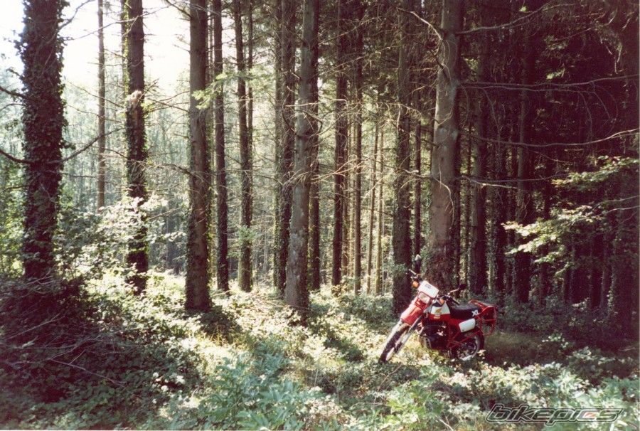 Bike Photo 601594