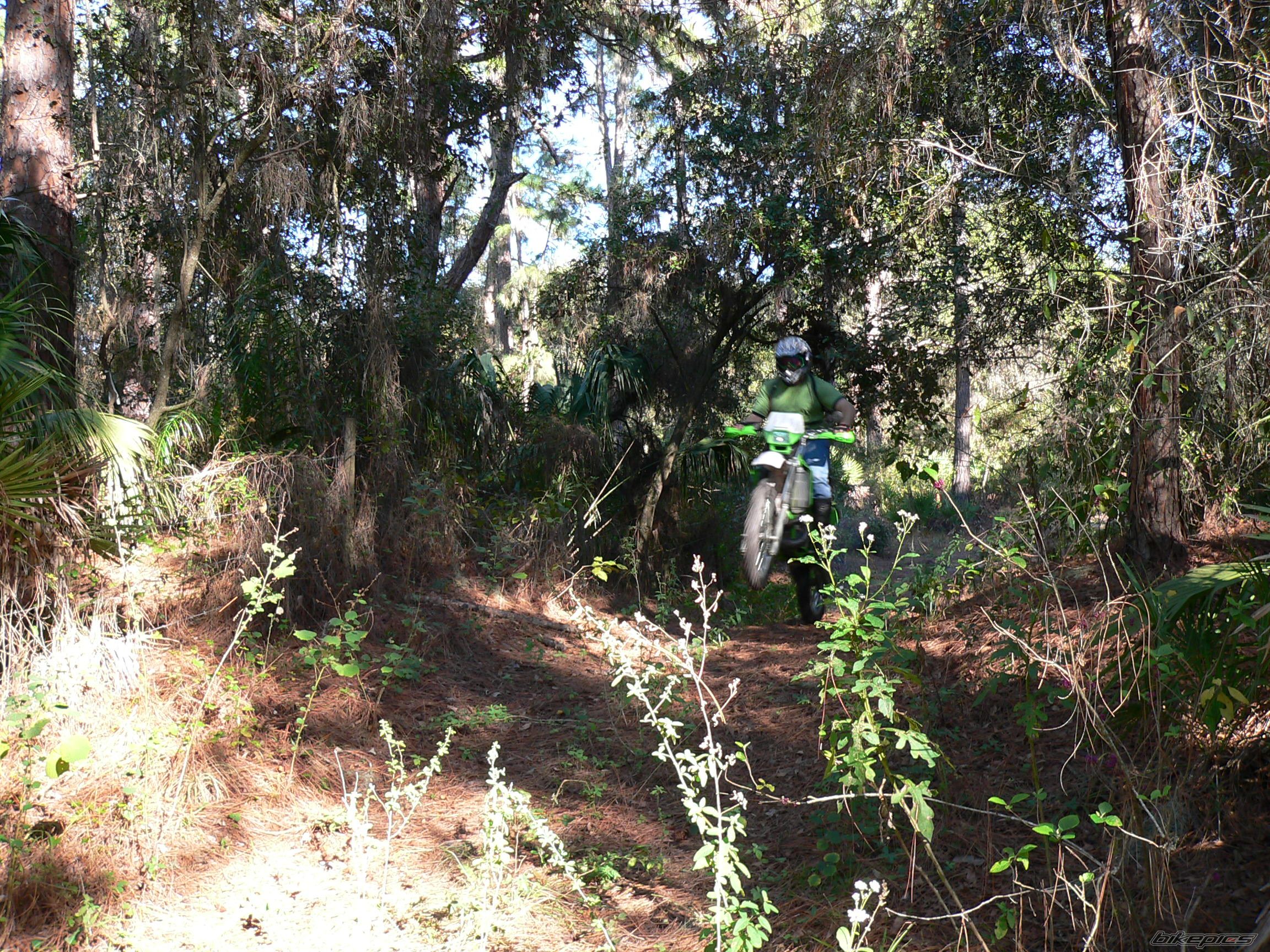 Photo 601854