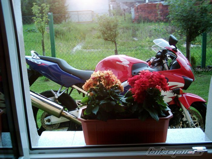 Photo 602426