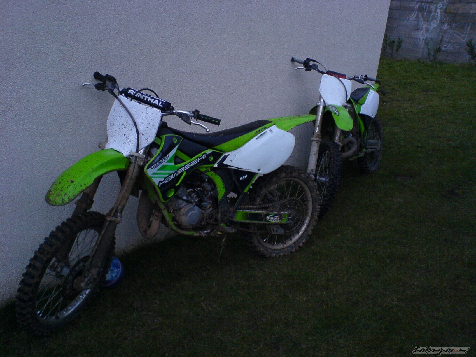 Photo 603262