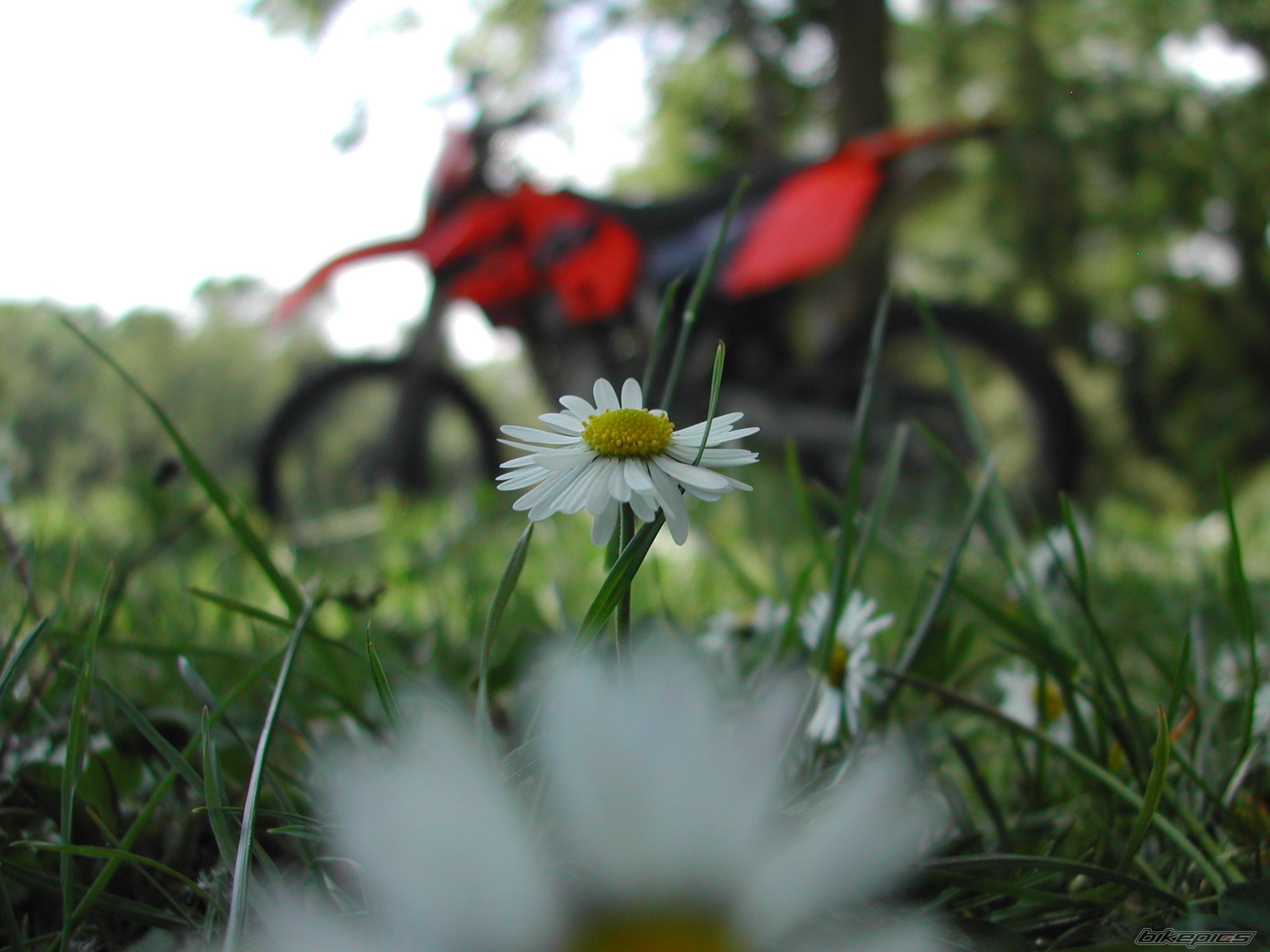 Photo 603270