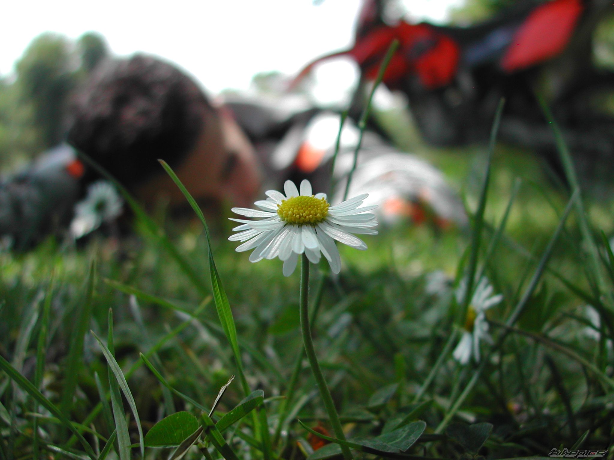 Photo 603275