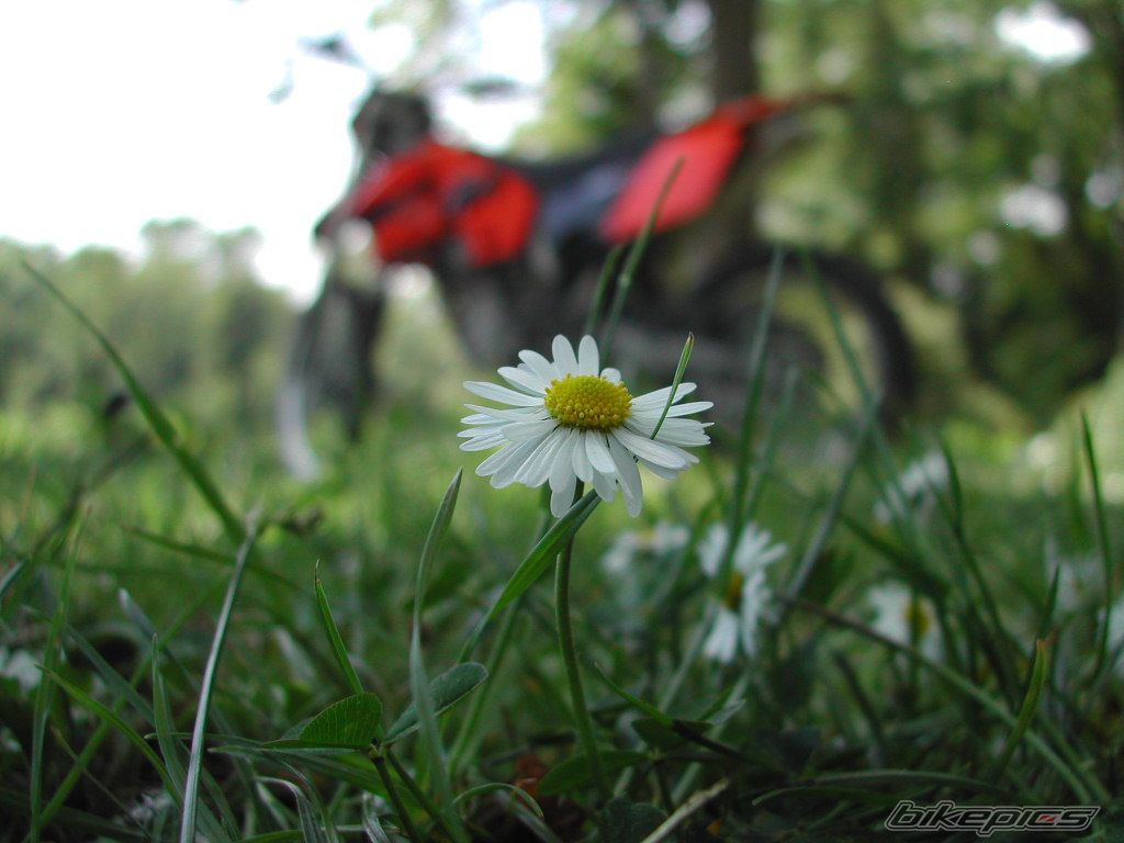 Photo 603277