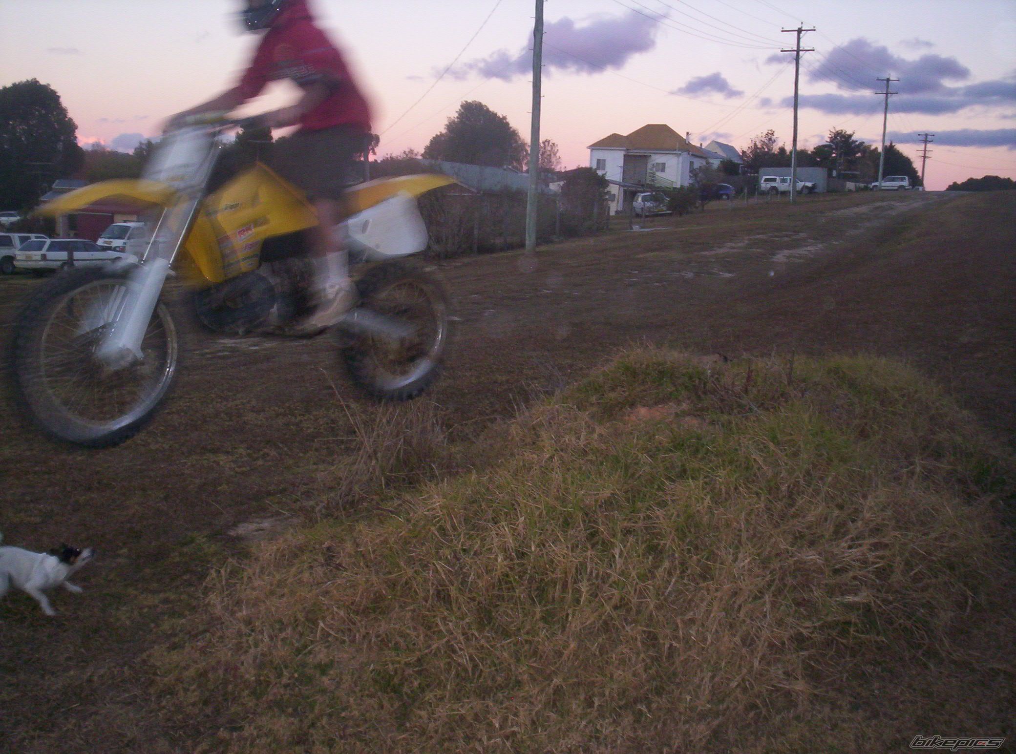 Photo 603923