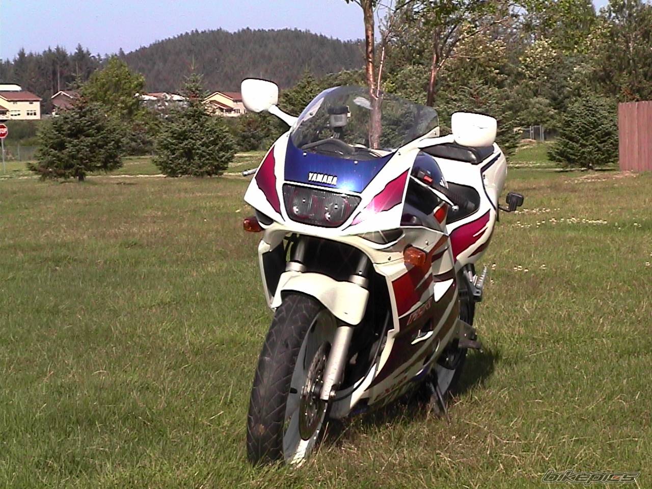 Photo 60445