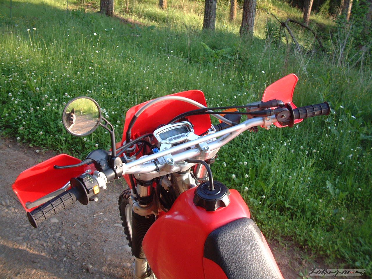 Photo 604730