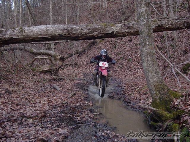 Bike Photo 604886
