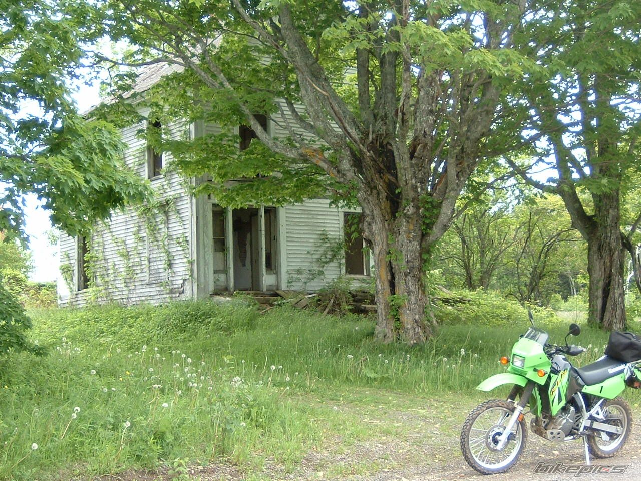Bike Photo 605295