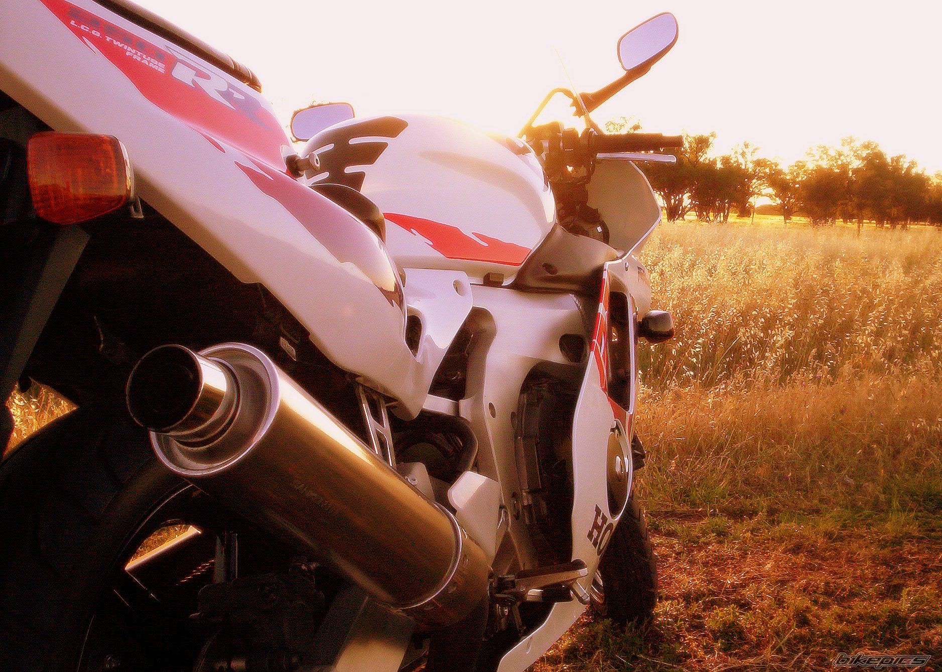 Photo 605692