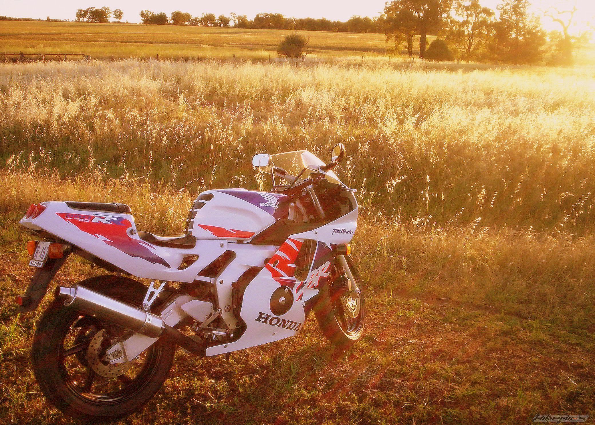 Photo 605698