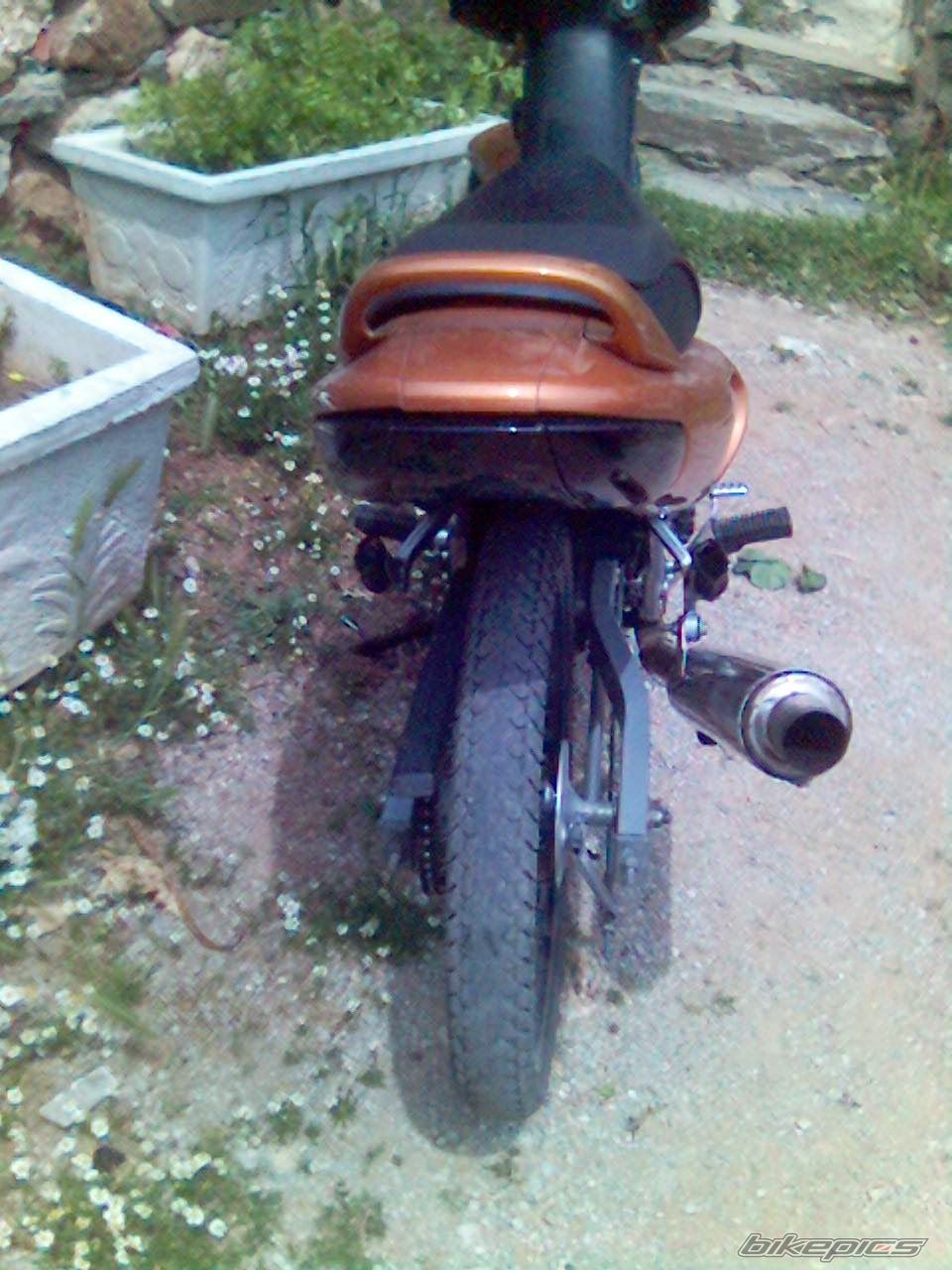 Photo 606053