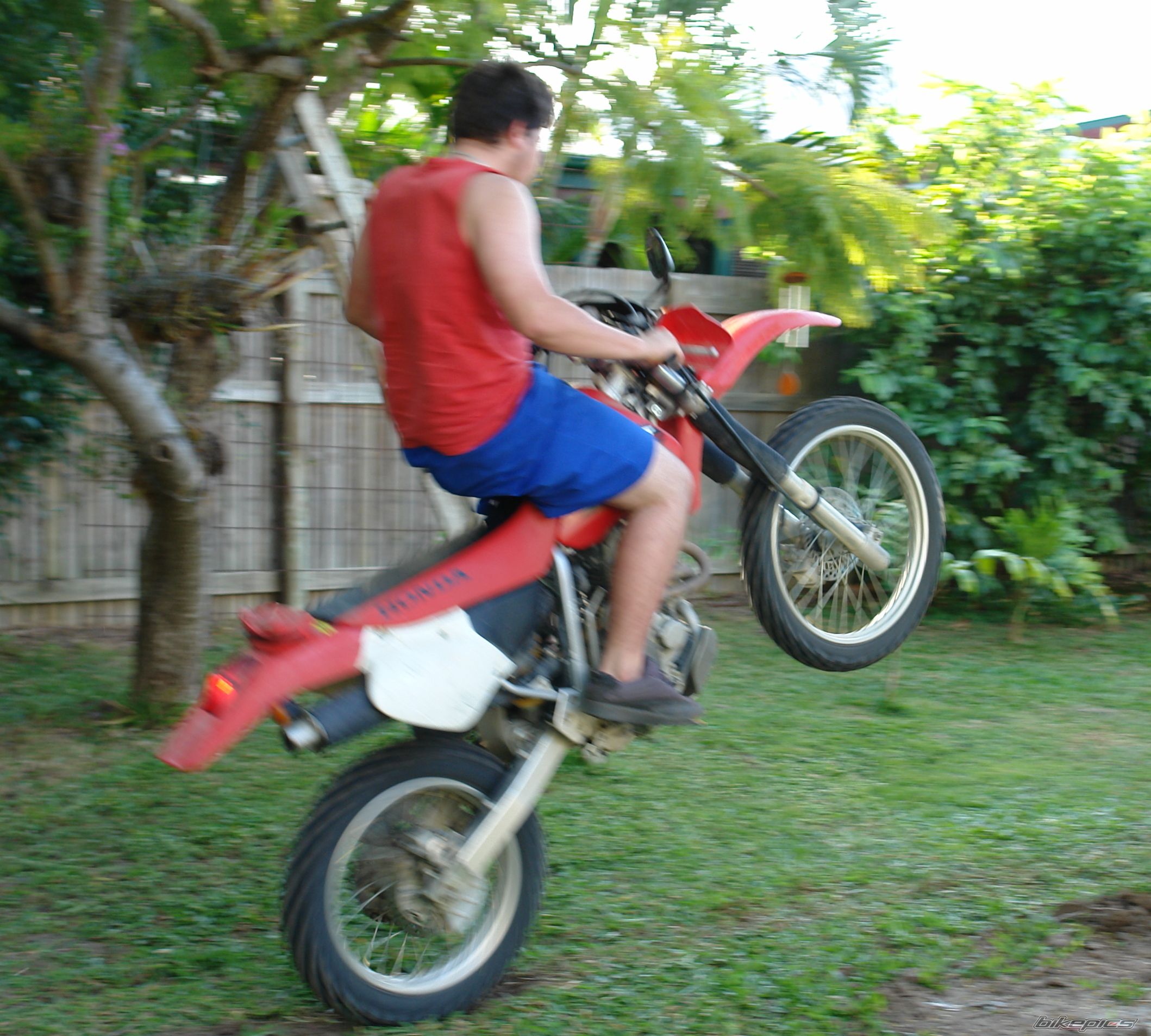 Photo 606271