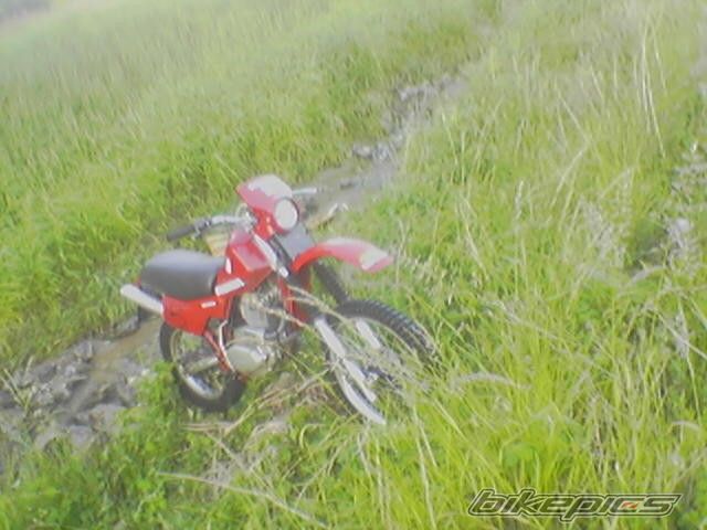 Photo 606724