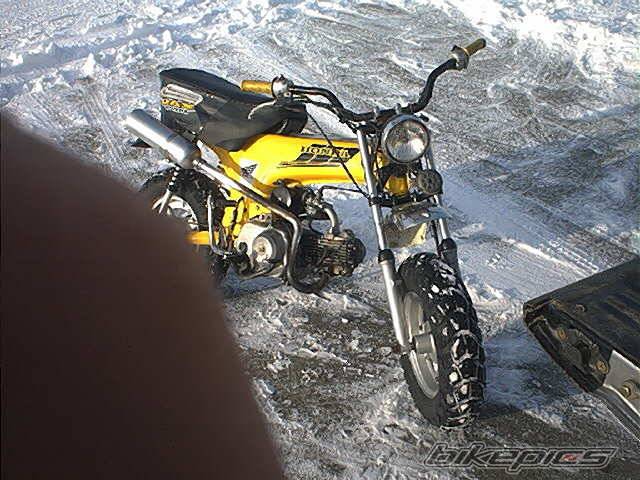 Photo 60675