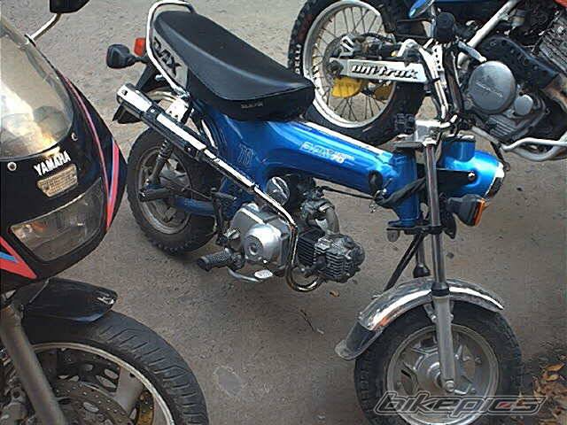 Photo 60685