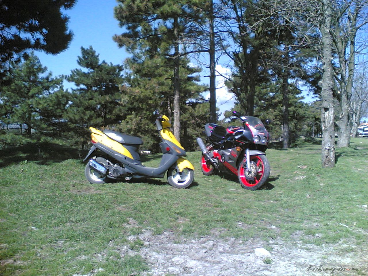 Photo 607092
