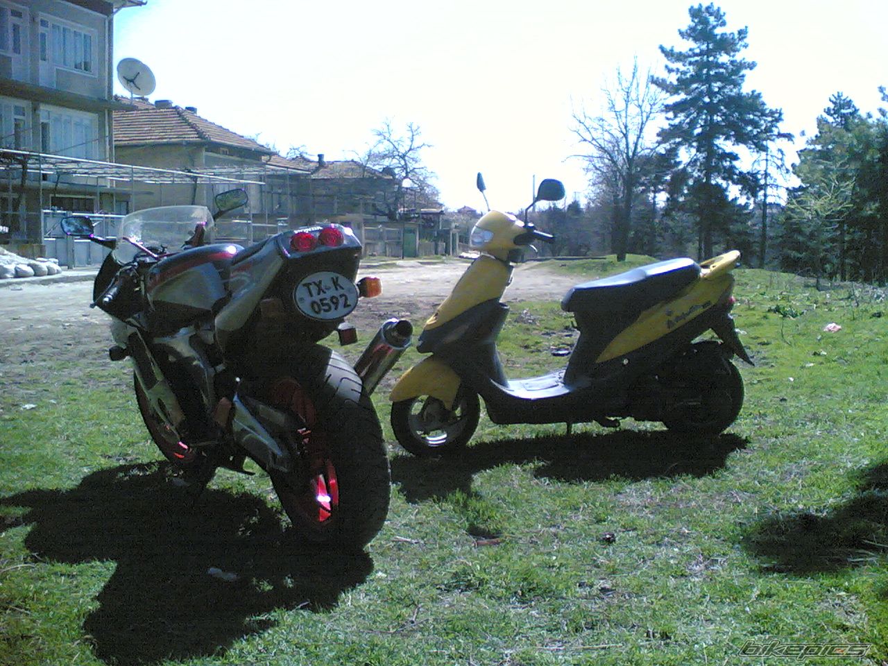 Photo 607094