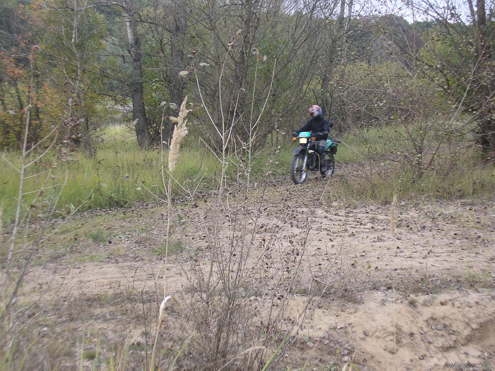Photo 607152