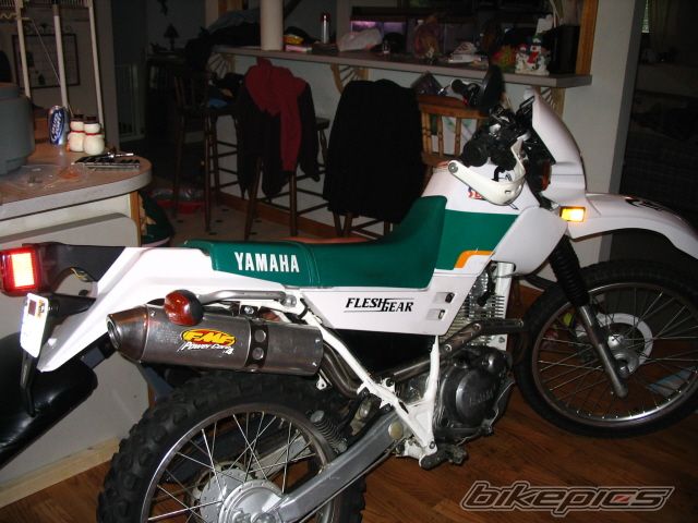 Photo 607268
