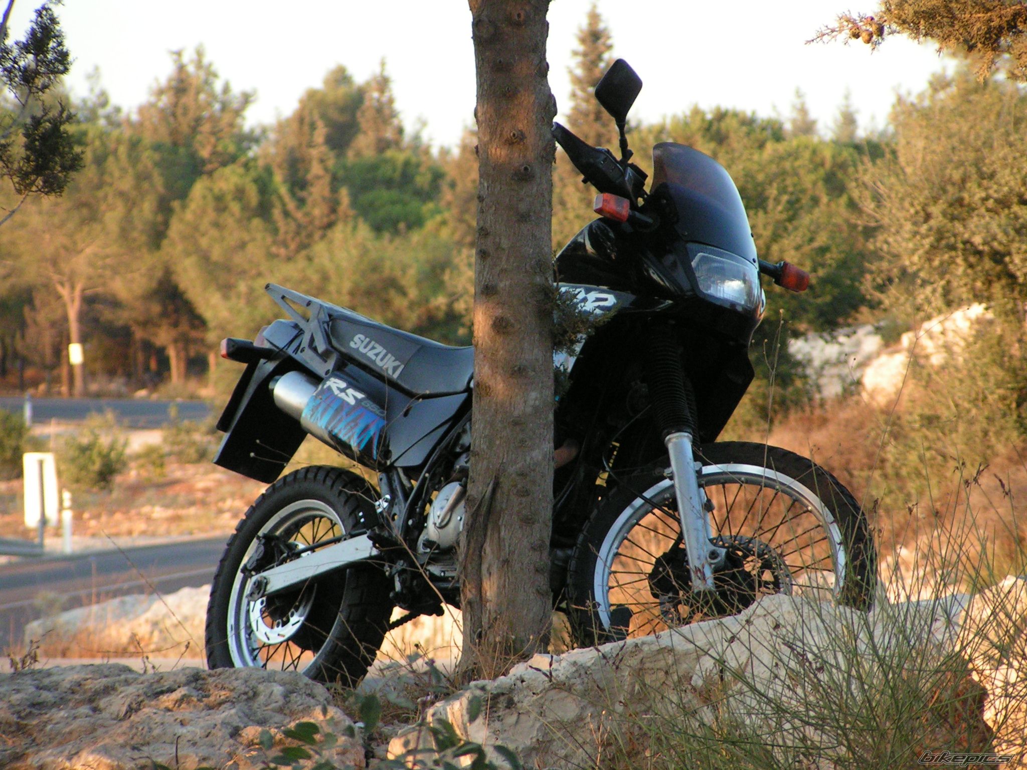 Bike Photo 607306