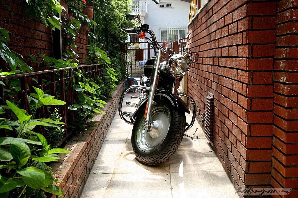 Photo 607342