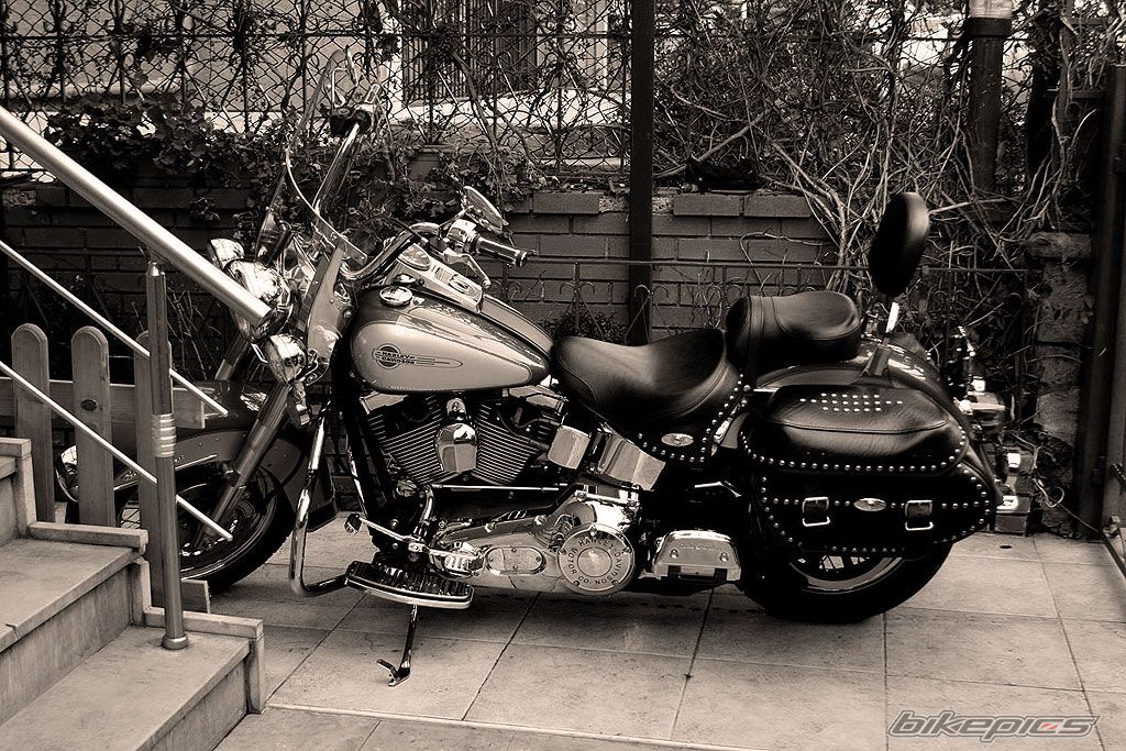 Photo 607347