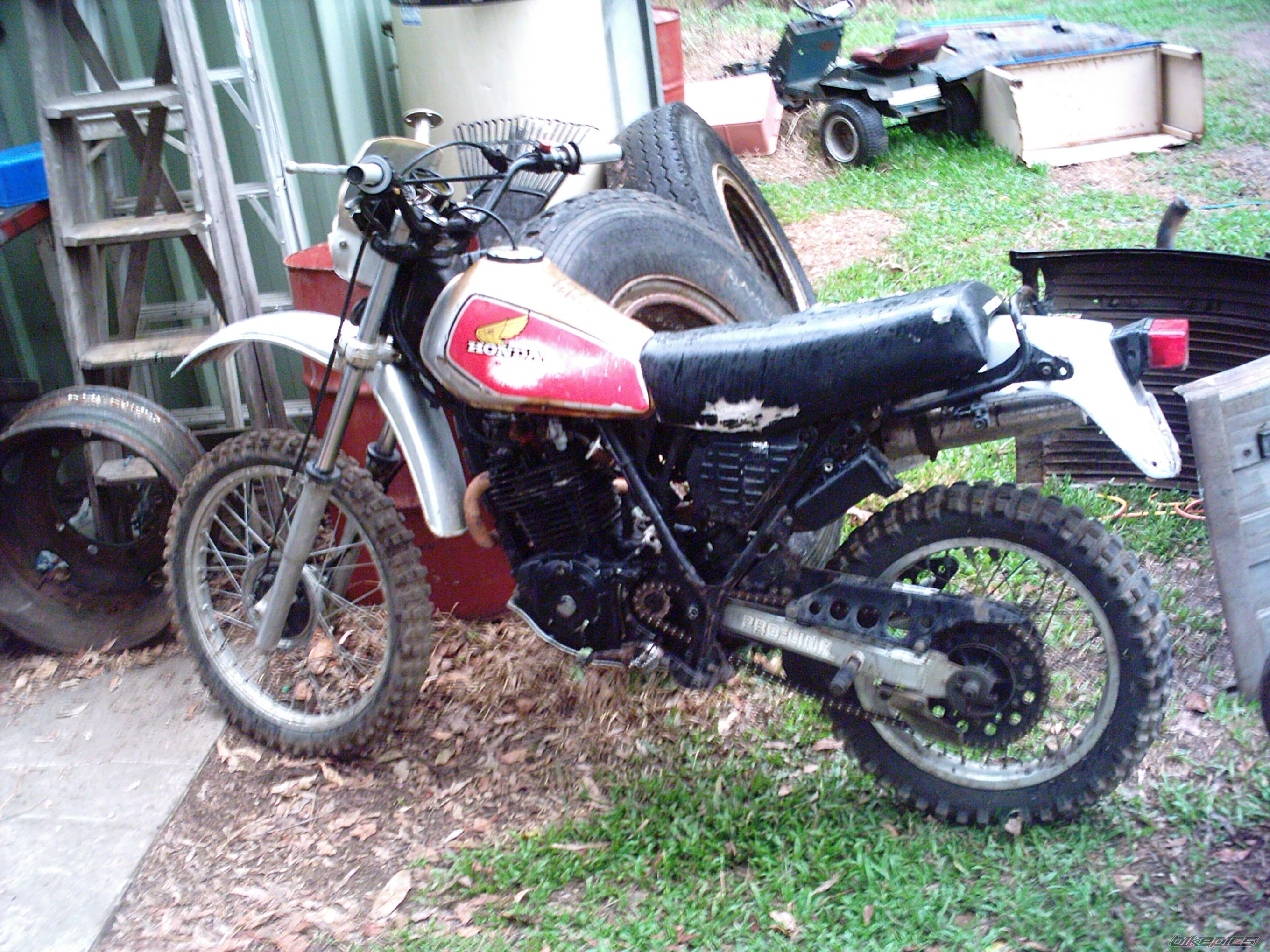Photo 607389