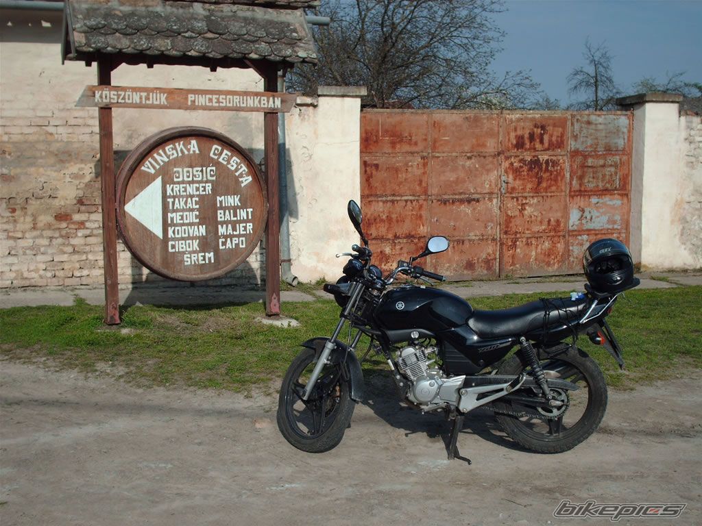 Photo 607709