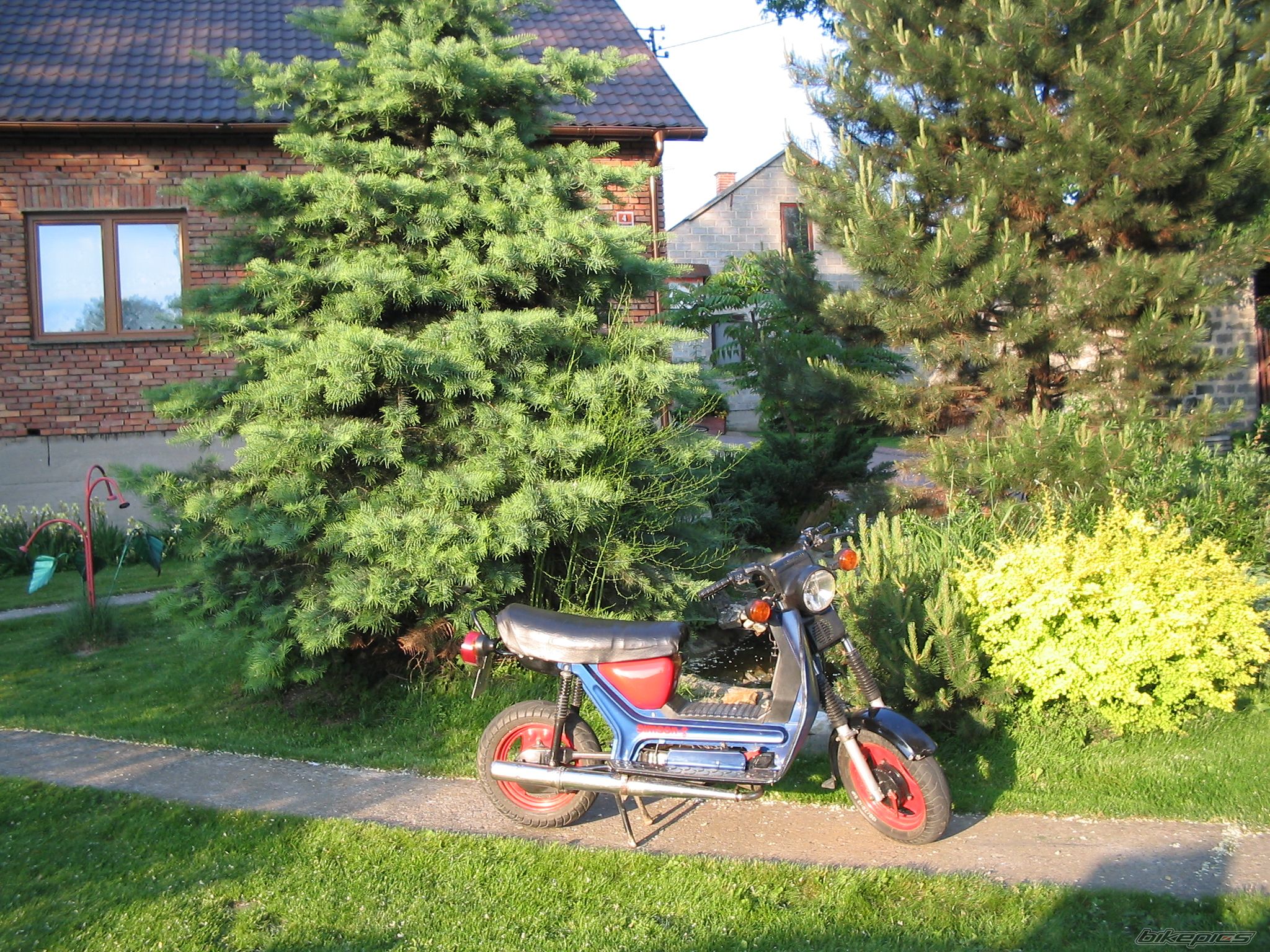 Photo 607929