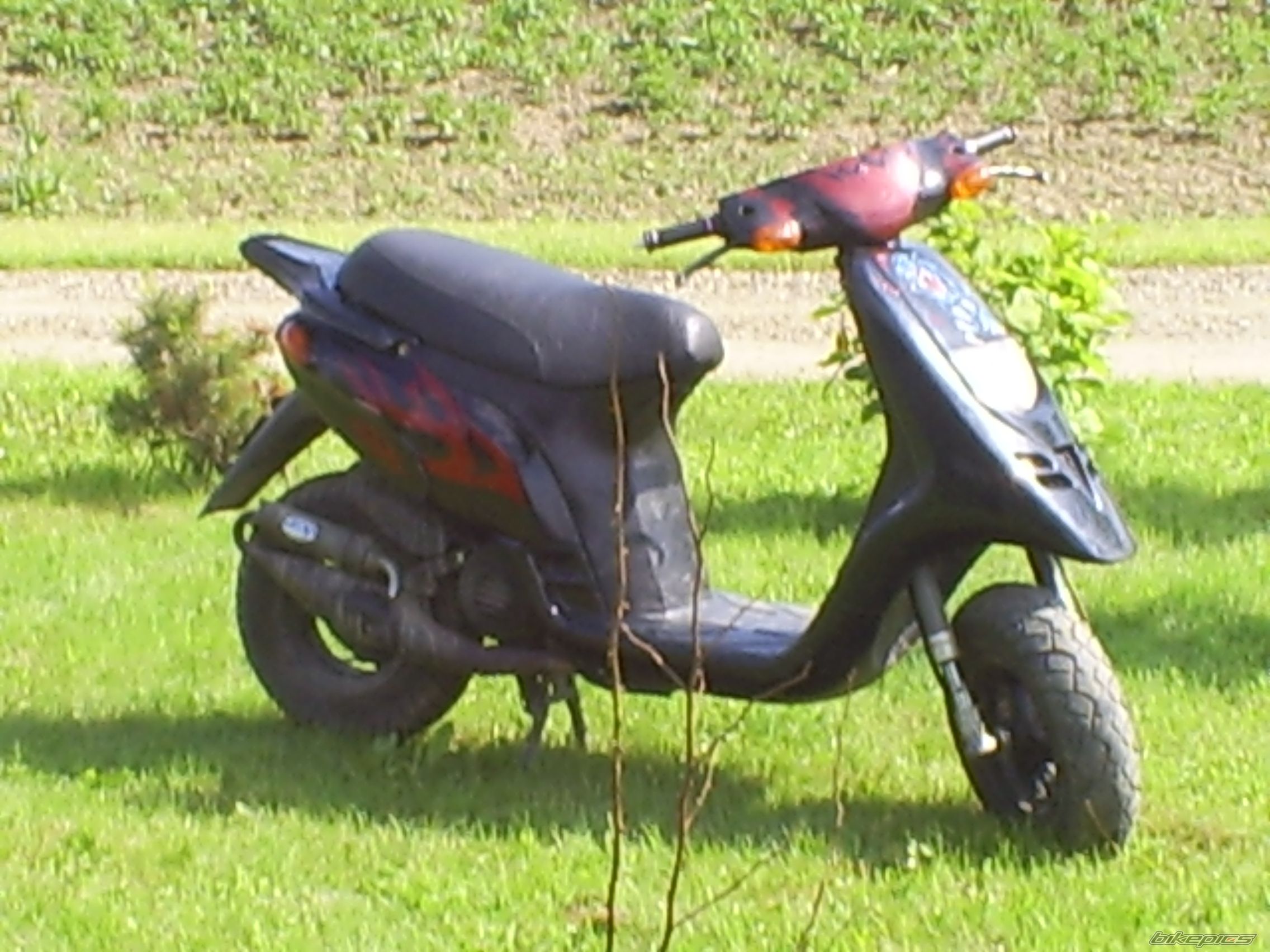 Photo 607931