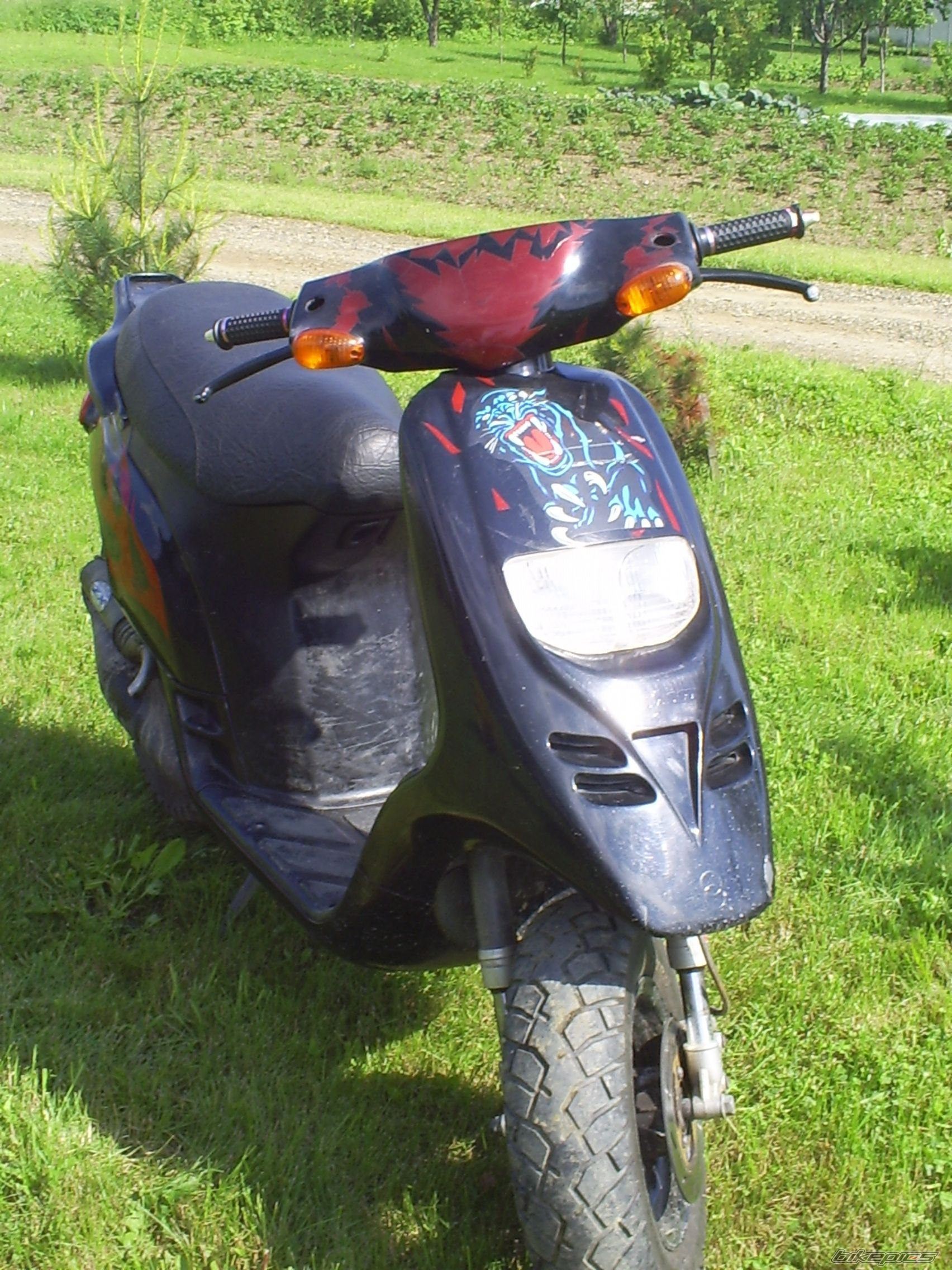Photo 607934