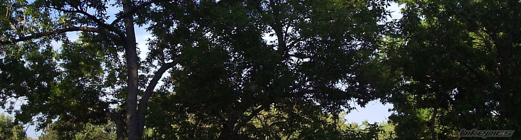 Photo 607994