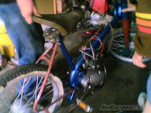 Photo 608059