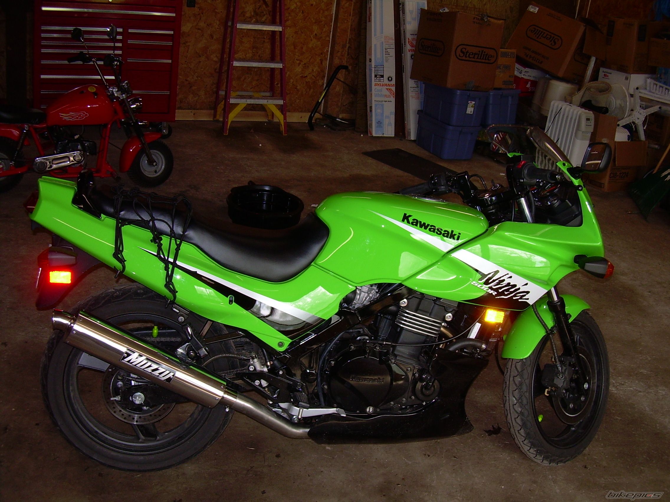 Photo 608290