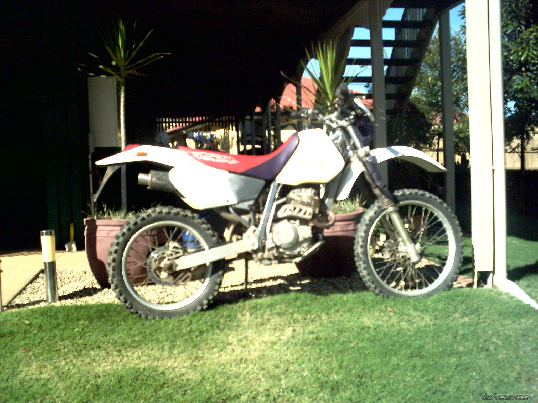 Photo 608321