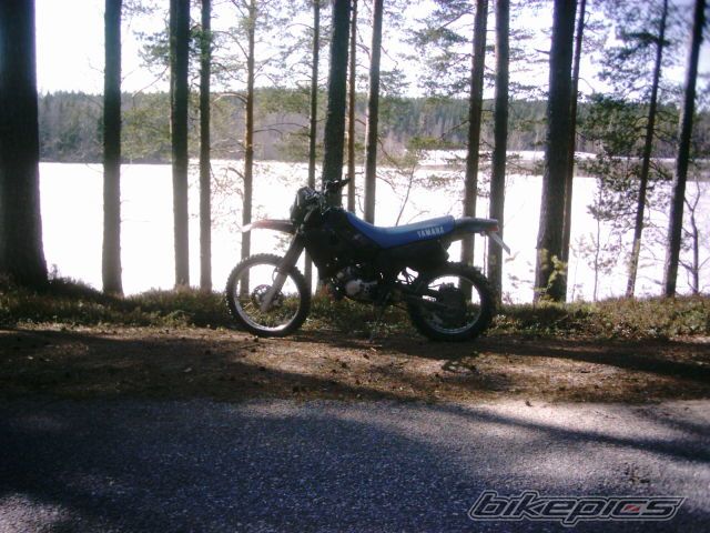 Photo 608449