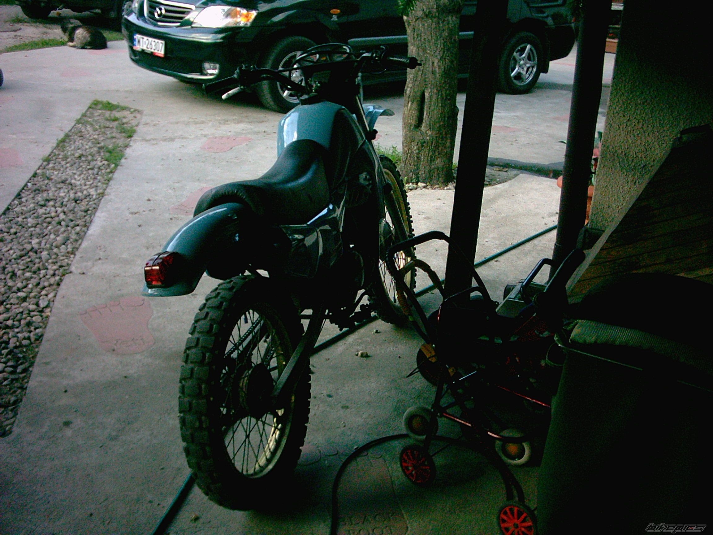 Photo 608582
