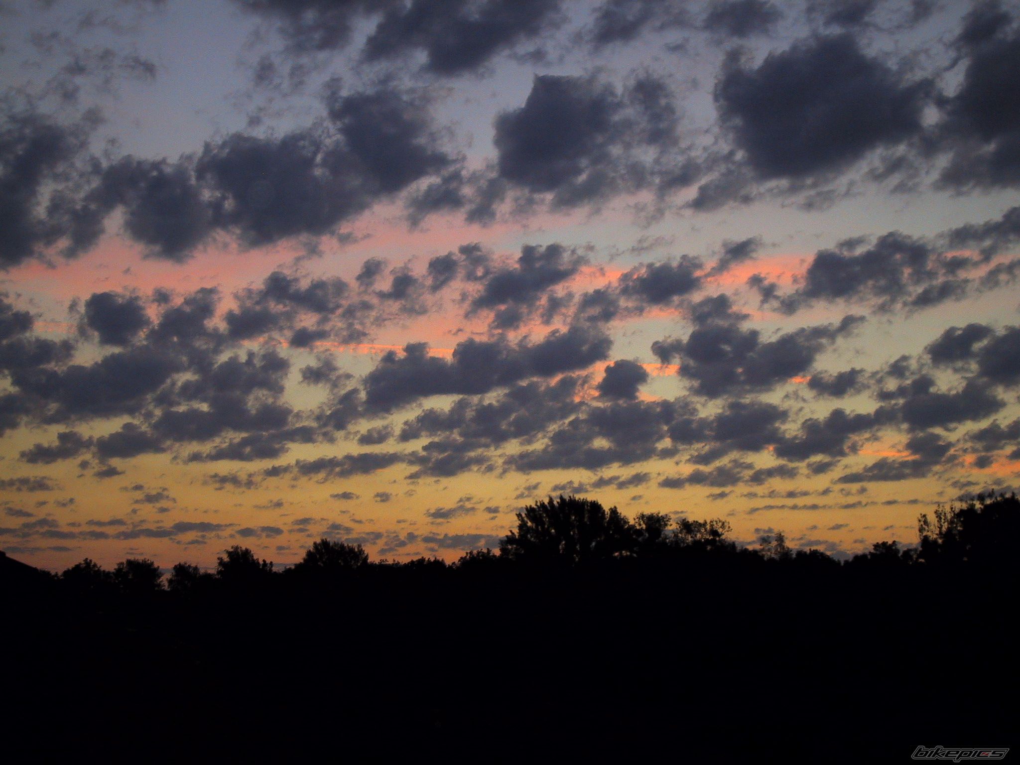 Photo 608777