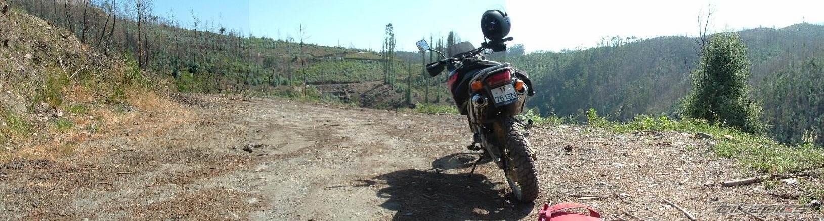 Bike Photo 608818
