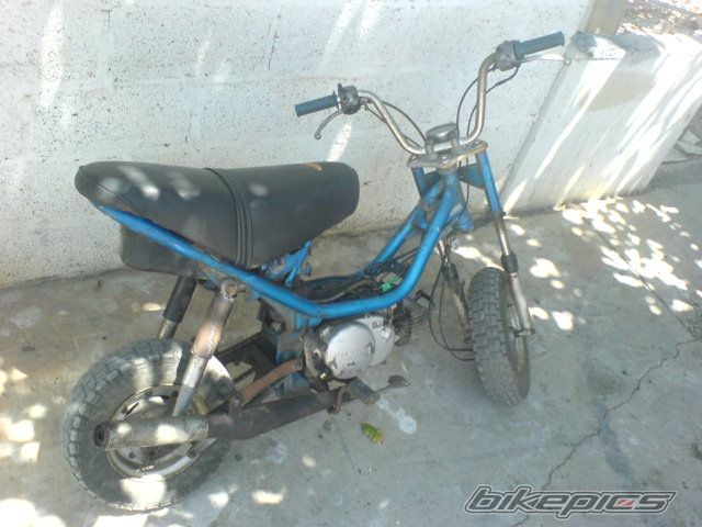 Photo 609754