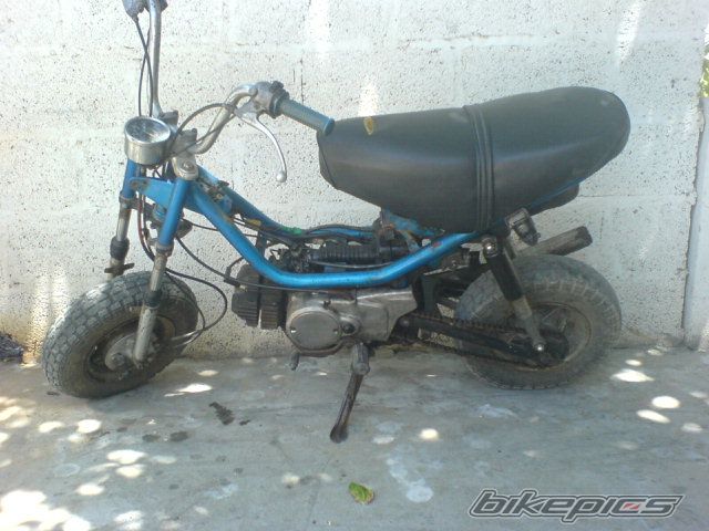 Photo 609756
