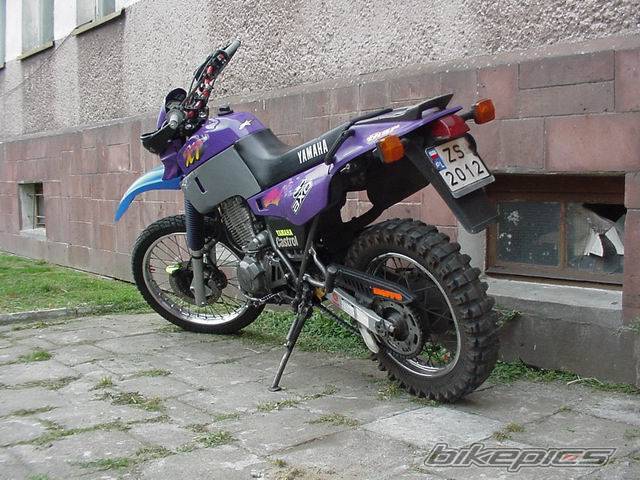 Photo 60995