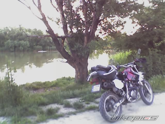 Photo 610112